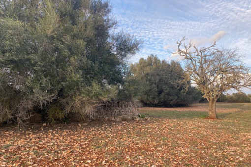 View of the property