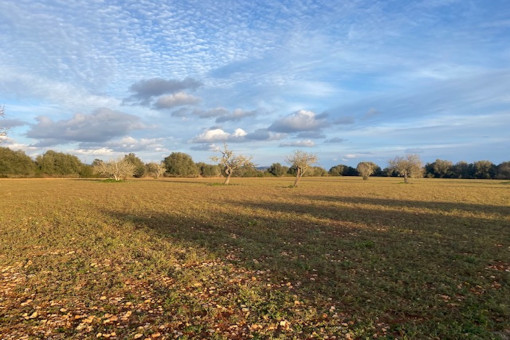 View of the property