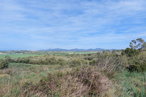 Vista al propiedad