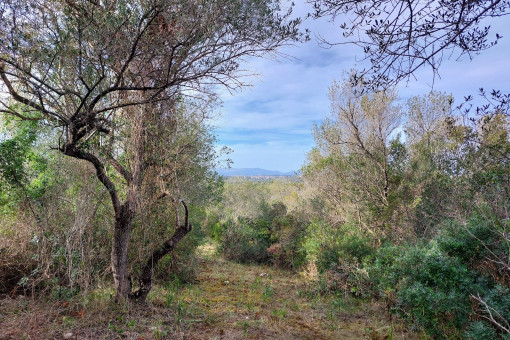 Vista al propiedad
