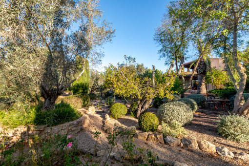 Jardín