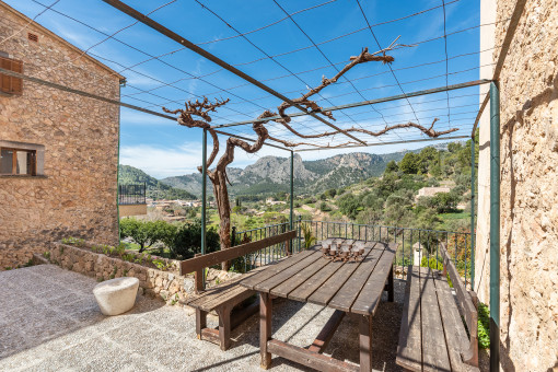 Terraza alternative