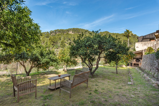 Zona del jardín