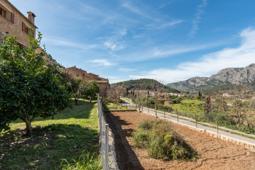 Vista