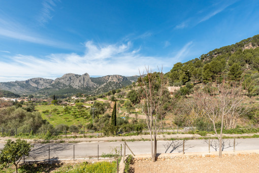 Zona del jardín