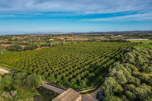Vista desde arriba