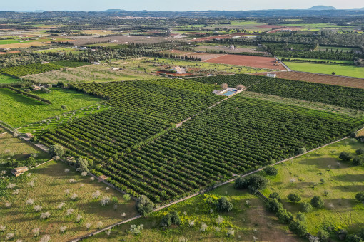 Parcelas idílicas en Búger