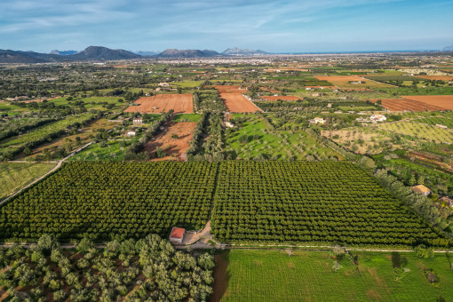 Parcela