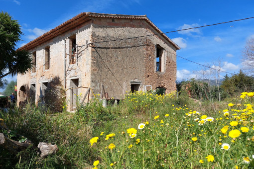 Vista exterior y jardín