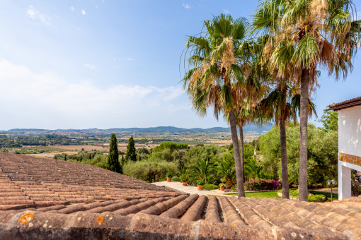 Vista al campo