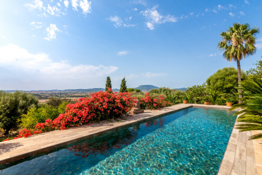 Piscina con vista