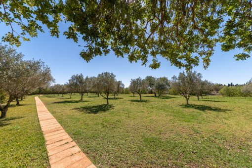 Jardín muy grande
