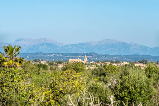 Vistas panorámicas