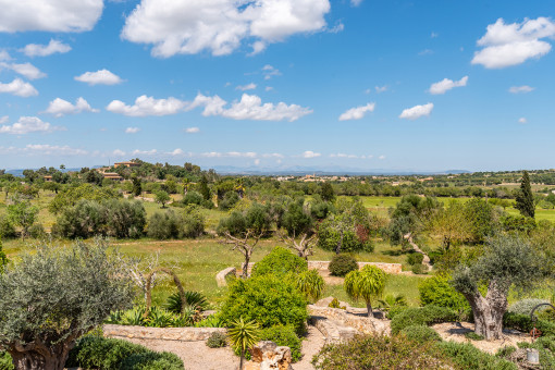 Vistas al paisaje