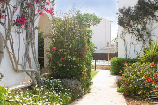Entrada