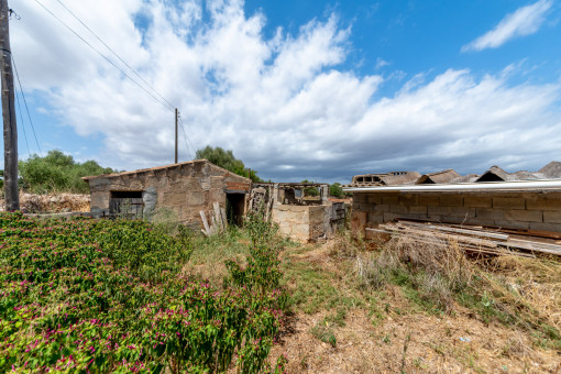 Campo