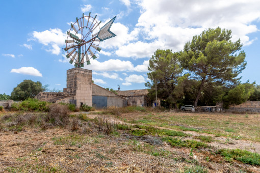 Molino