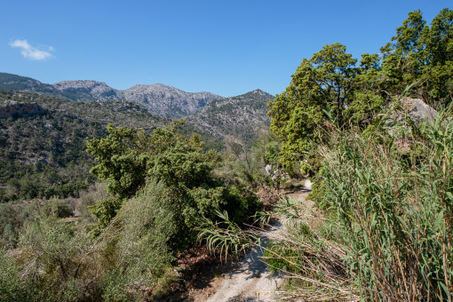 Vistas a las montañas