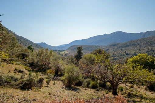Vistas a la distancia