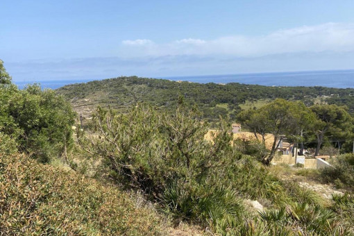 Vista al terreno