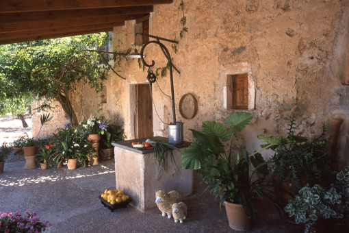 Terraza cubierta