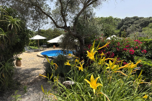 Piscina y jardín