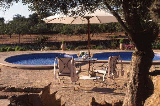 Piscina y su terraza