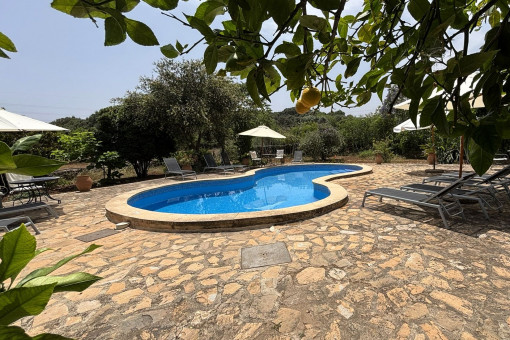 Vistas a la piscina desde el limonero