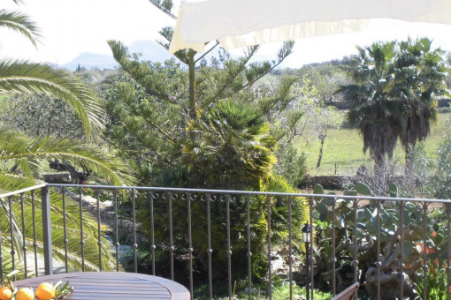 Terraza