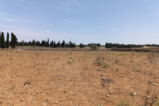 Vista al propiedad