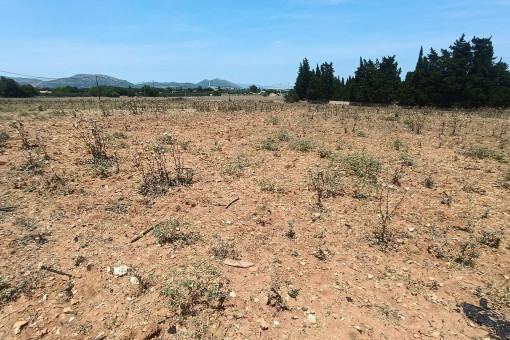 Vista al propiedad