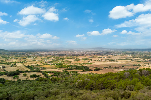 Vistas