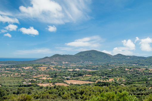 Vistas