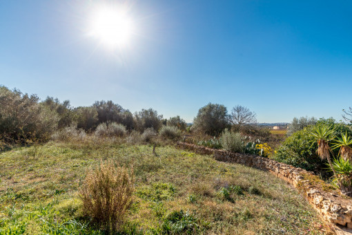 Jardín