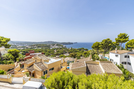 Vistas