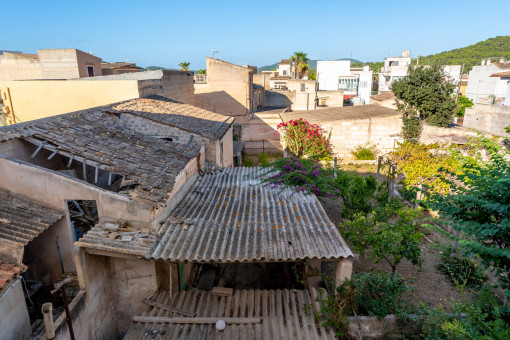 Jardín