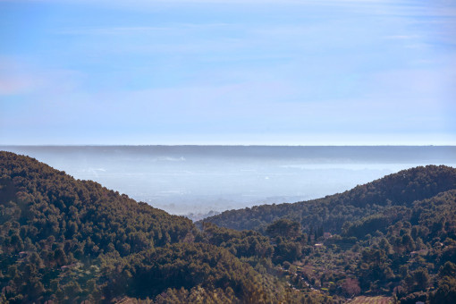 Vistas
