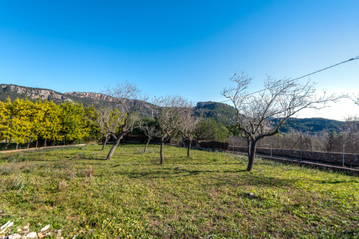 Jardín