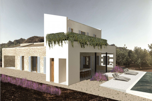 Terraza y piscina