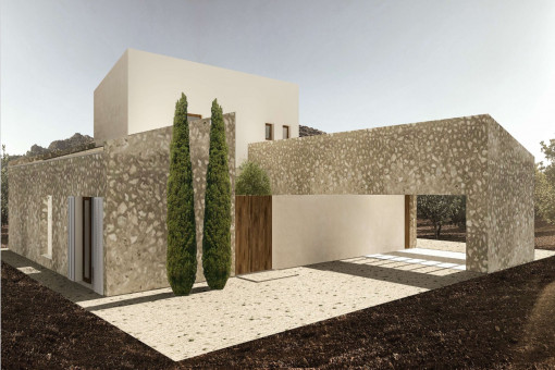 Vista frontal