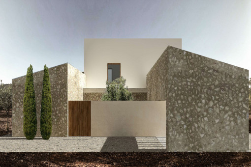 Vista frontal