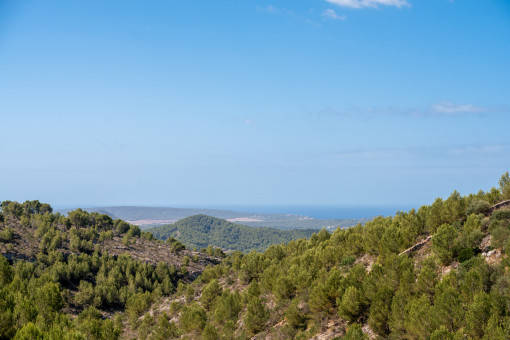 Vistas