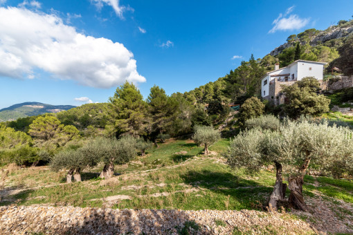 Finca en Puigpunyent con vistas panorámicas, amplio terreno y gran privacidad