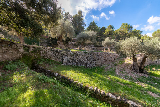 Jardín