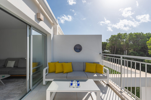 Terraza