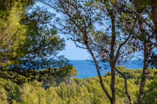 Vistas al mar