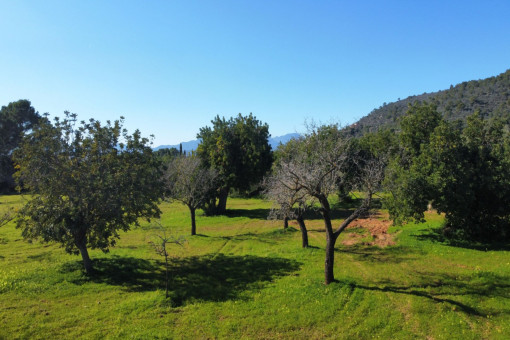 Terreno
