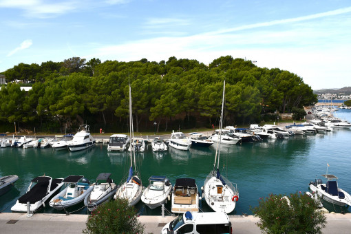 Vistas al puerto