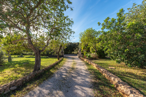 Jardín