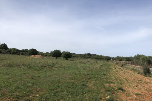 Terreno